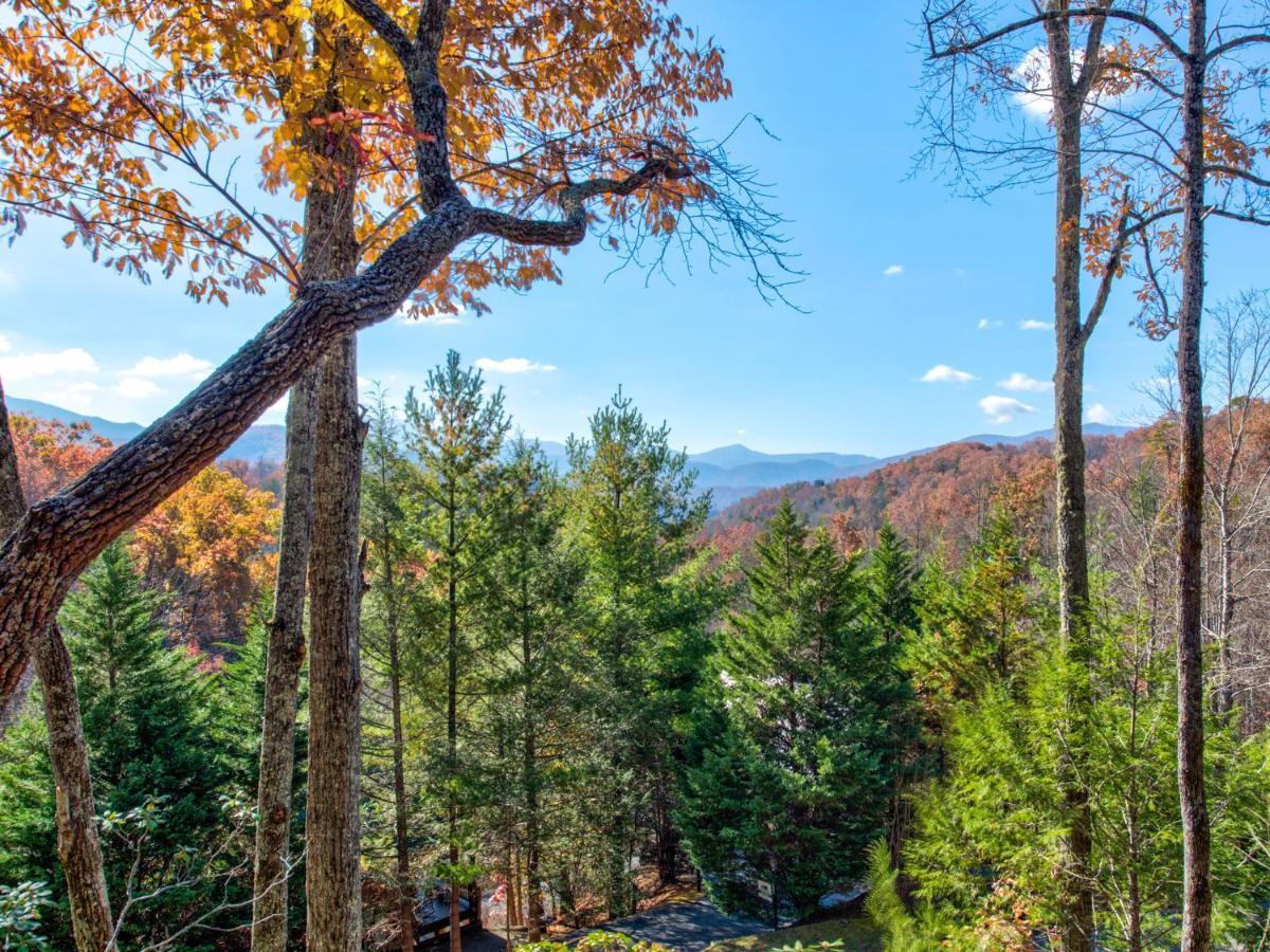 Vila Cubs Corner Gatlinburg Exteriér fotografie